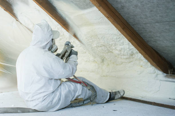 Best Basement Insulation  in Oak Hill, OH